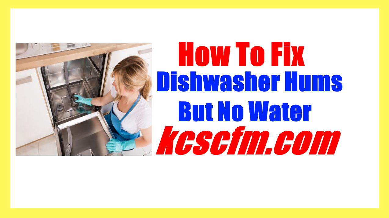 Dishwasher Hums But No Water