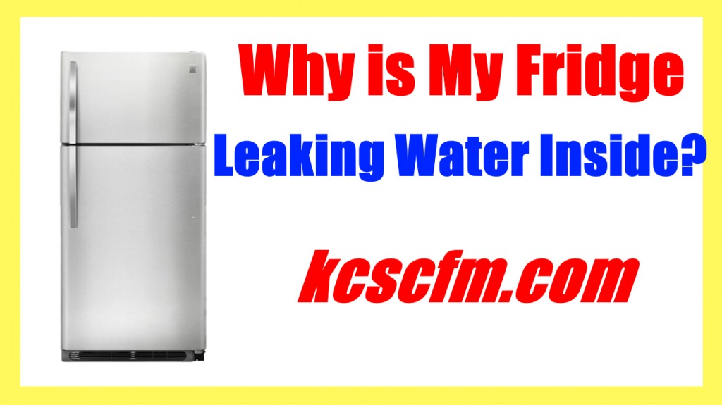 Why Is My Fridge Leaking Water Inside - Causes and Solution