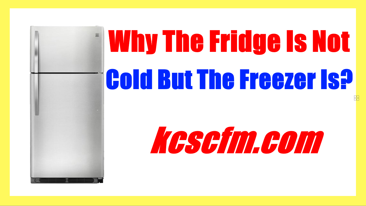 my freezer is working but fridge is not