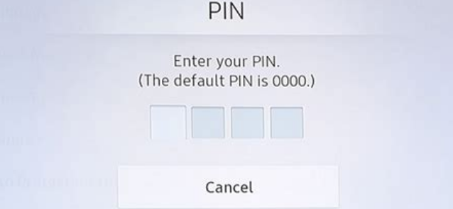 pin